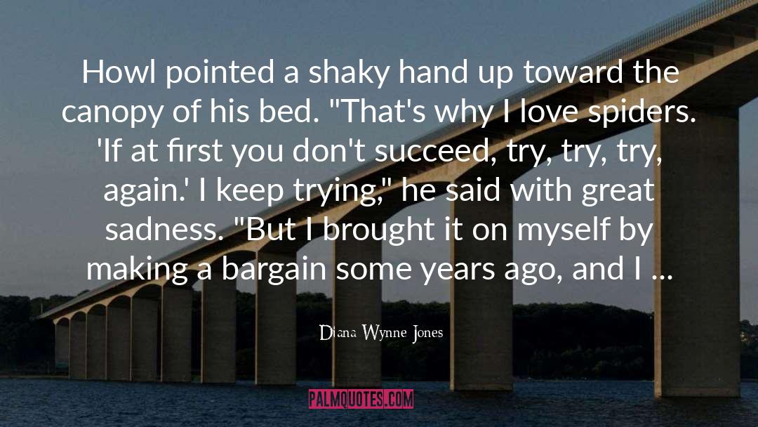 Try Again quotes by Diana Wynne Jones