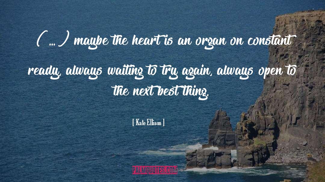 Try Again quotes by Kate Ellison