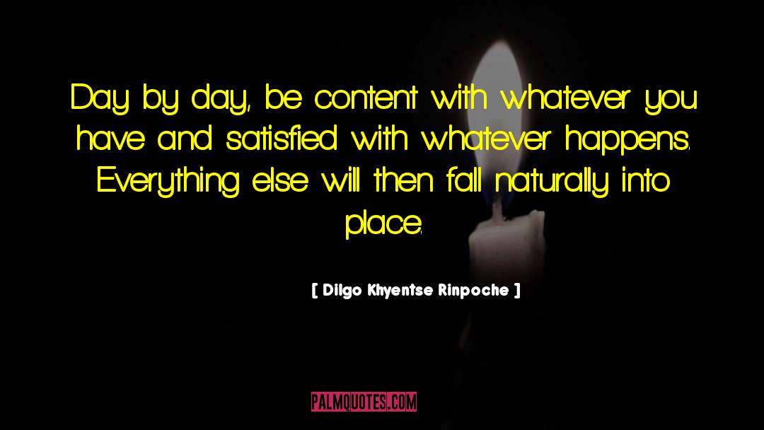 Try Everything quotes by Dilgo Khyentse Rinpoche