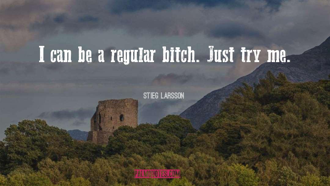 Try Me quotes by Stieg Larsson