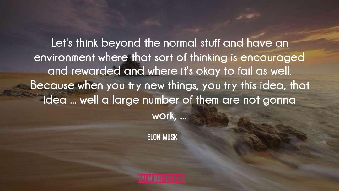 Try New Things quotes by Elon Musk