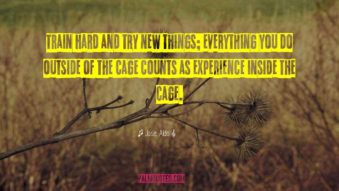 Try New Things quotes by Jose Aldo