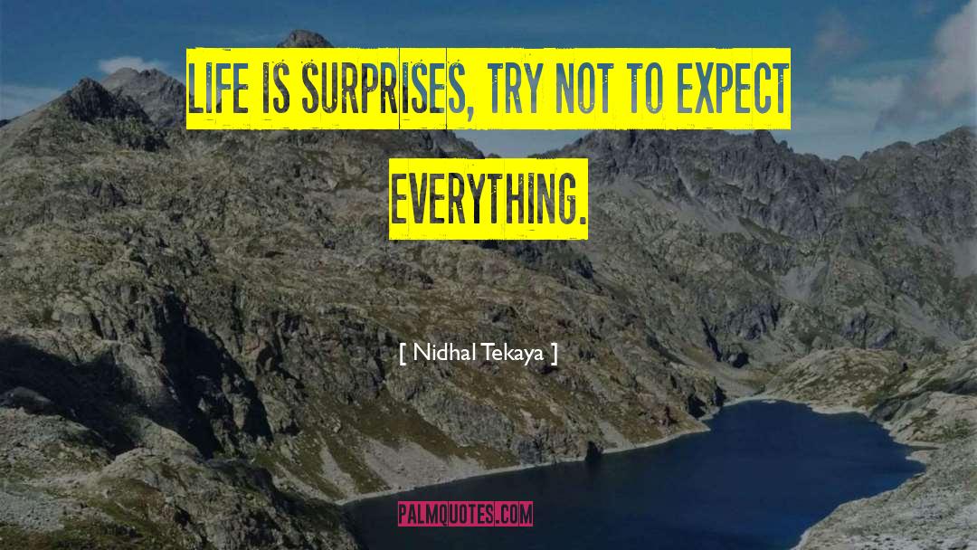 Try Not To Fail quotes by Nidhal Tekaya