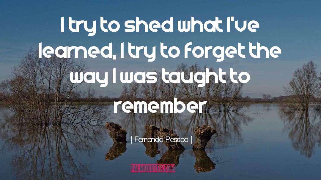 Try To Forget quotes by Fernando Pessoa