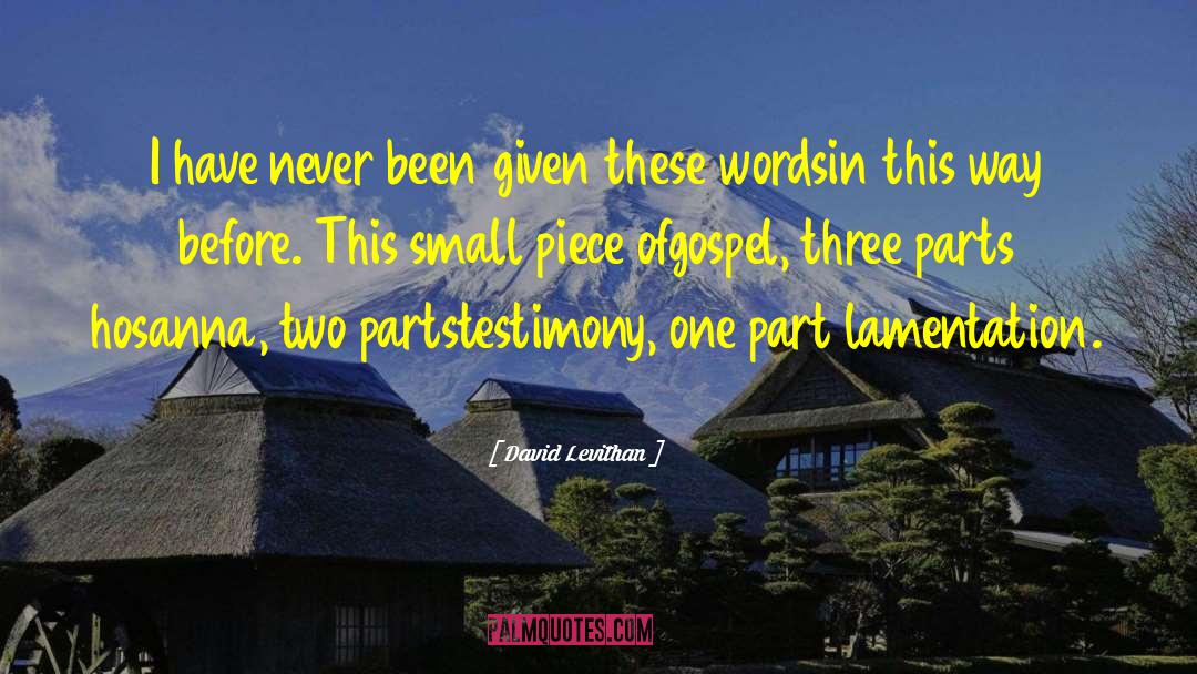 Tsugami Parts quotes by David Levithan