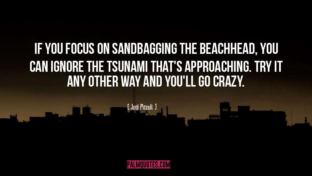Tsunami quotes by Jodi Picoult