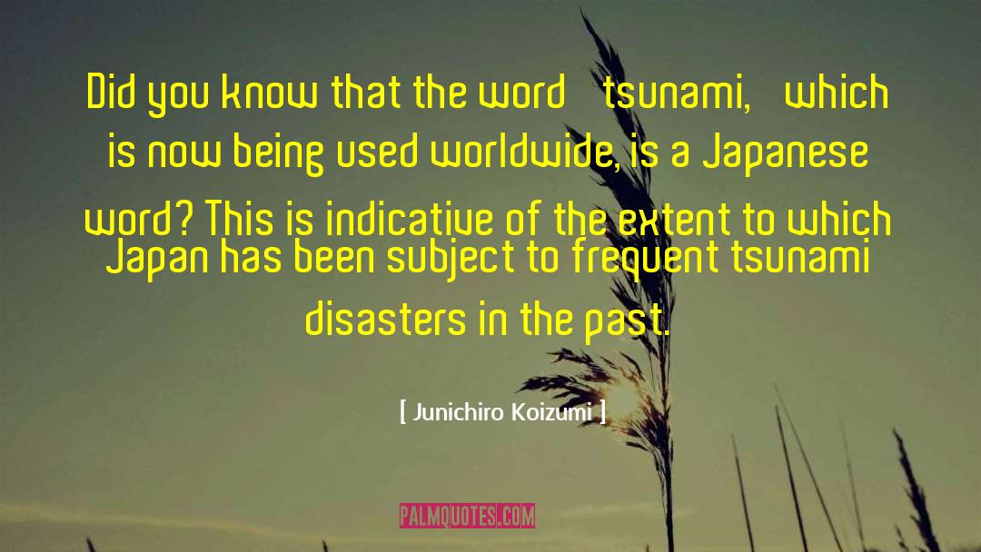 Tsunami quotes by Junichiro Koizumi