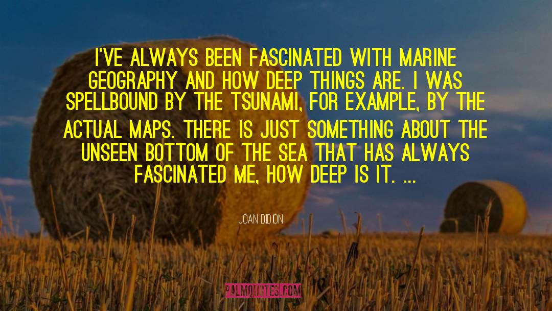 Tsunami quotes by Joan Didion