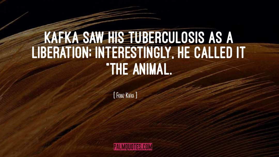 Tuberculosis quotes by Franz Kafka