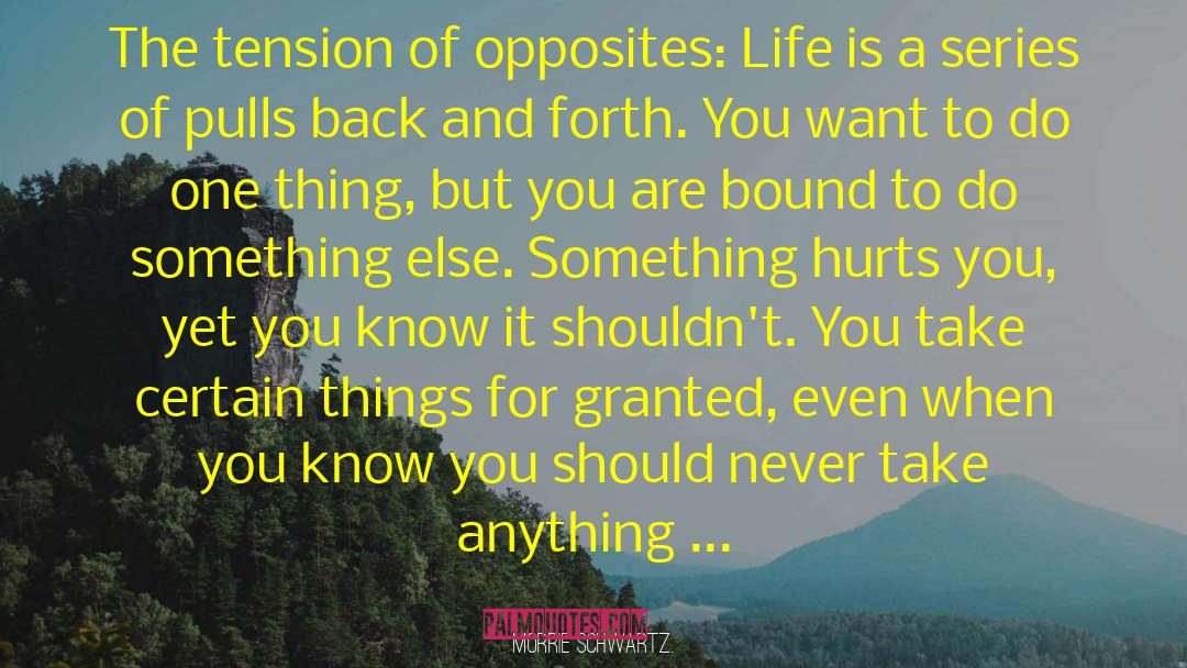 Tuesdays With Morrie quotes by Morrie Schwartz.