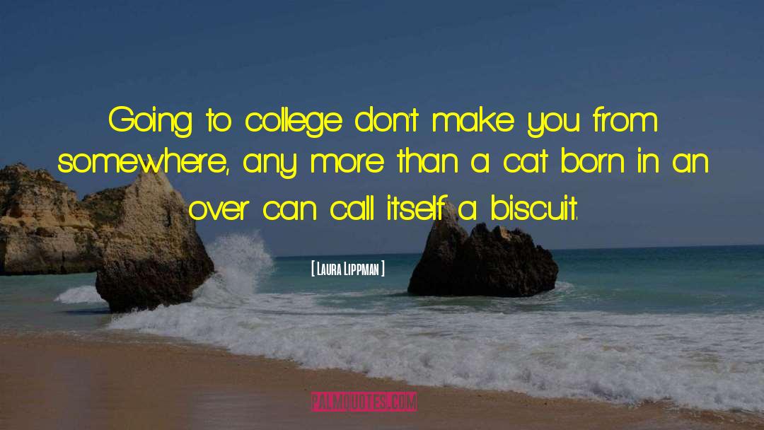 Tulane quotes by Laura Lippman