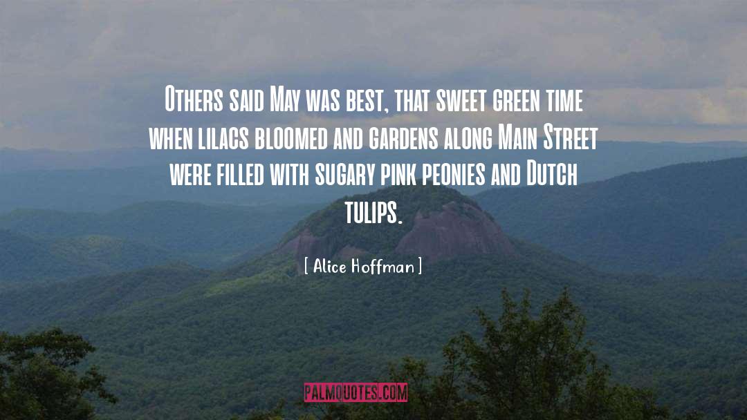 Tulips quotes by Alice Hoffman