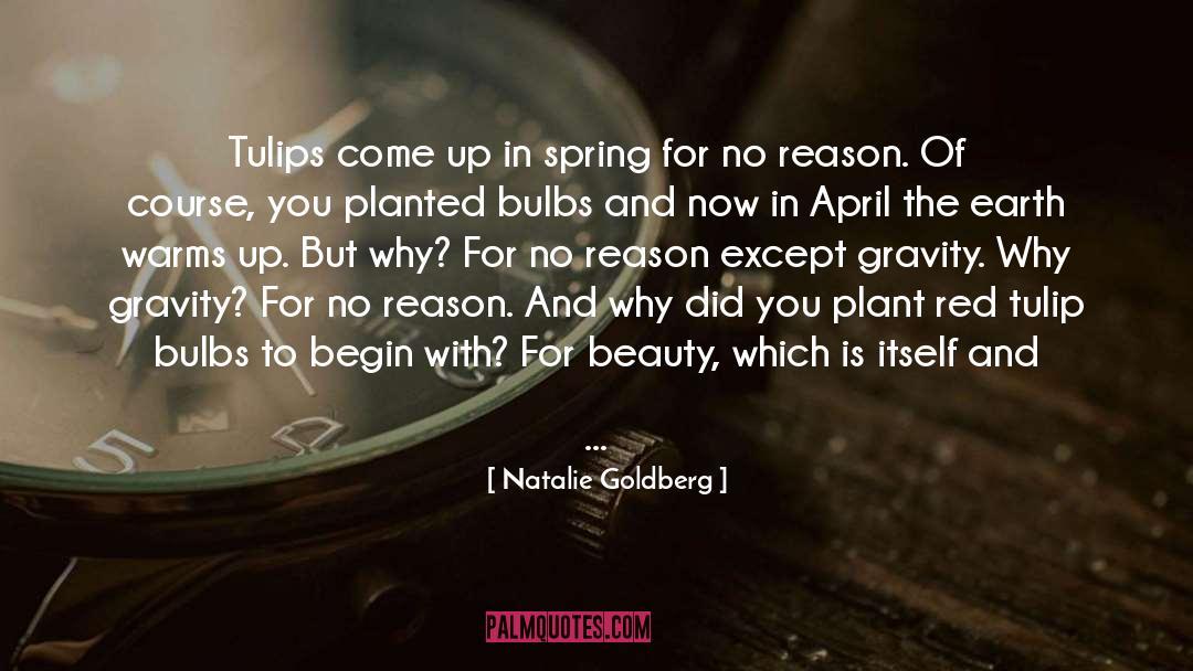 Tulips quotes by Natalie Goldberg