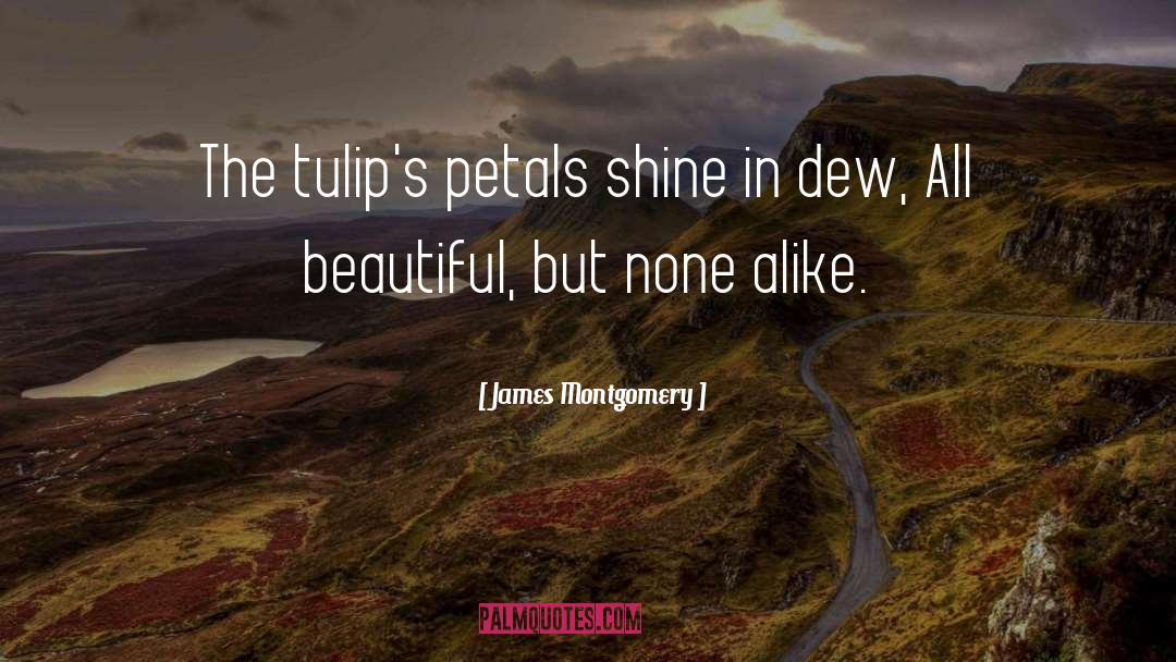 Tulips quotes by James Montgomery