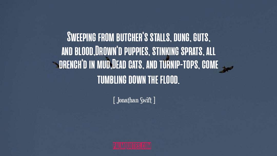 Tumbling Down quotes by Jonathan Swift