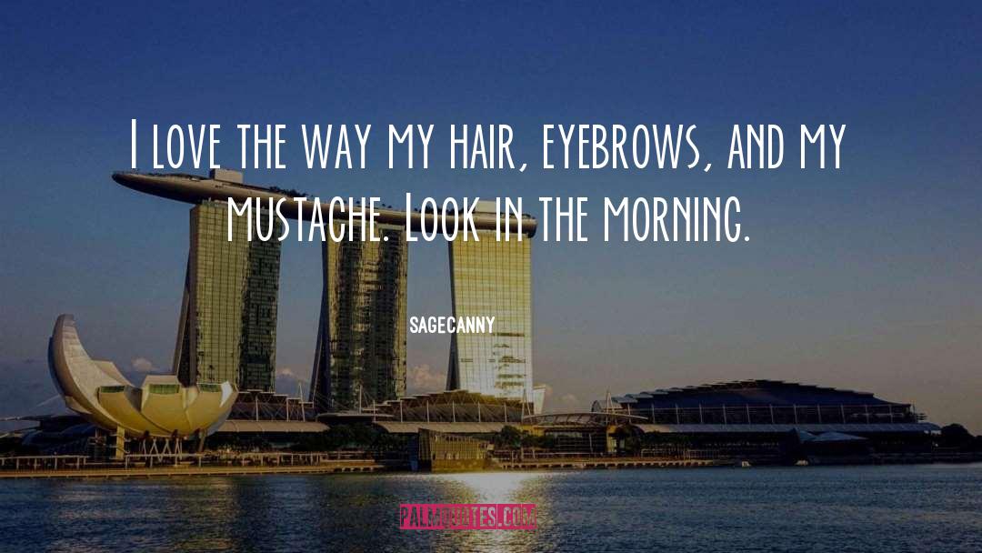 Tumbling Hair quotes by SageCanny