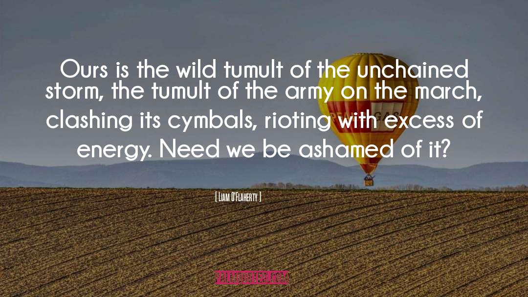 Tumult quotes by Liam O'Flaherty