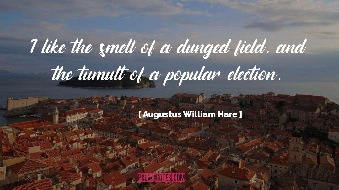 Tumult quotes by Augustus William Hare
