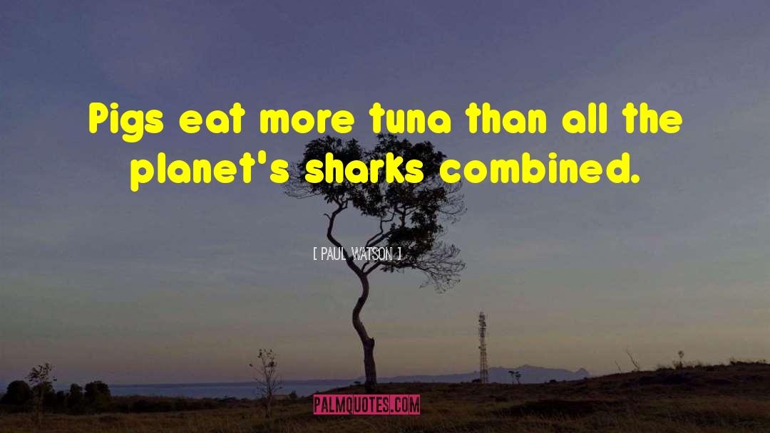 Tuna quotes by Paul Watson