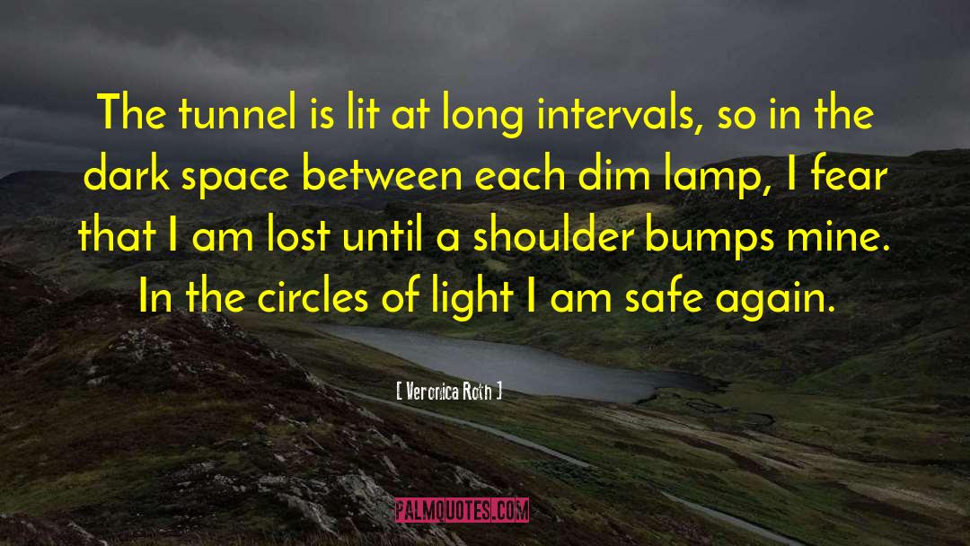 Tunnel quotes by Veronica Roth