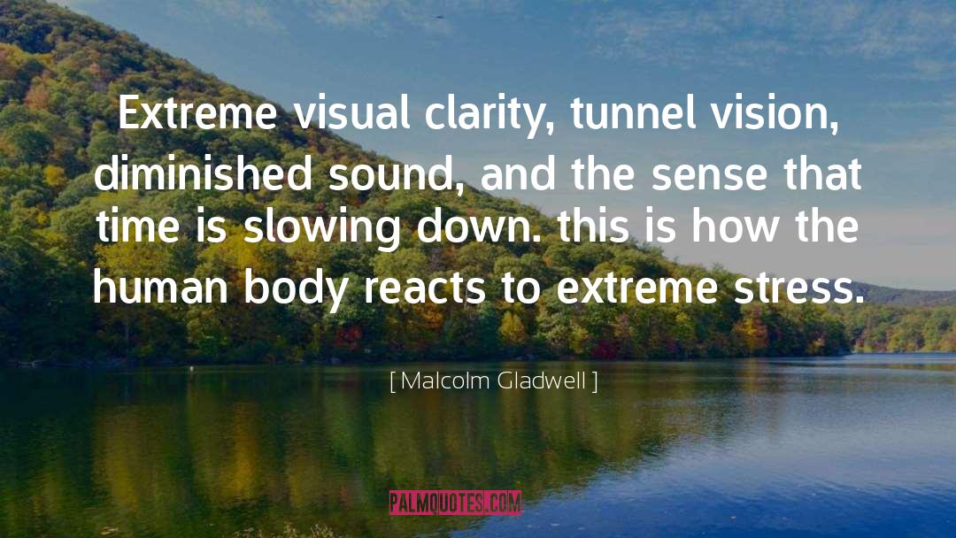 Tunnel Vision quotes by Malcolm Gladwell