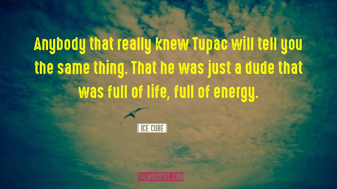 Tupac quotes by Ice Cube