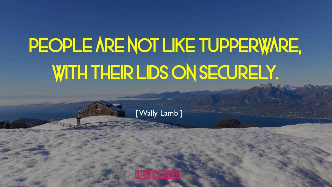 Tupperware quotes by Wally Lamb