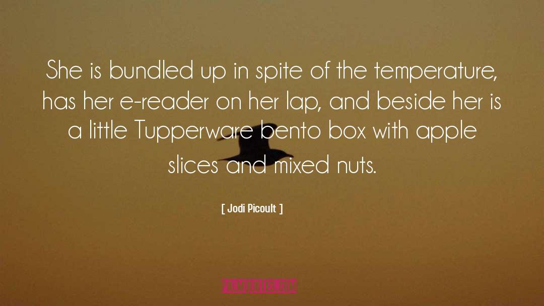 Tupperware quotes by Jodi Picoult