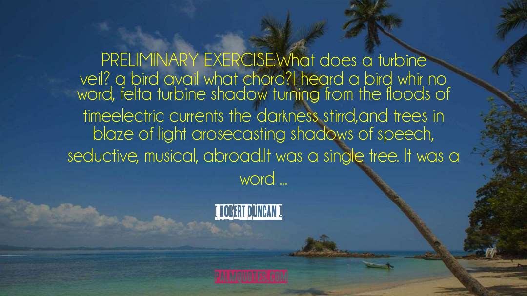 Turbine quotes by Robert Duncan