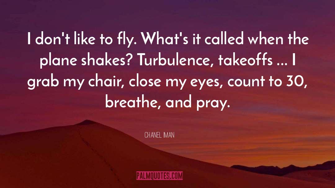 Turbulence quotes by Chanel Iman