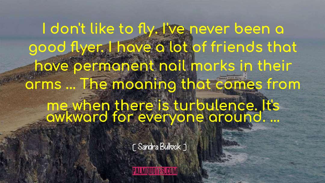 Turbulence quotes by Sandra Bullock