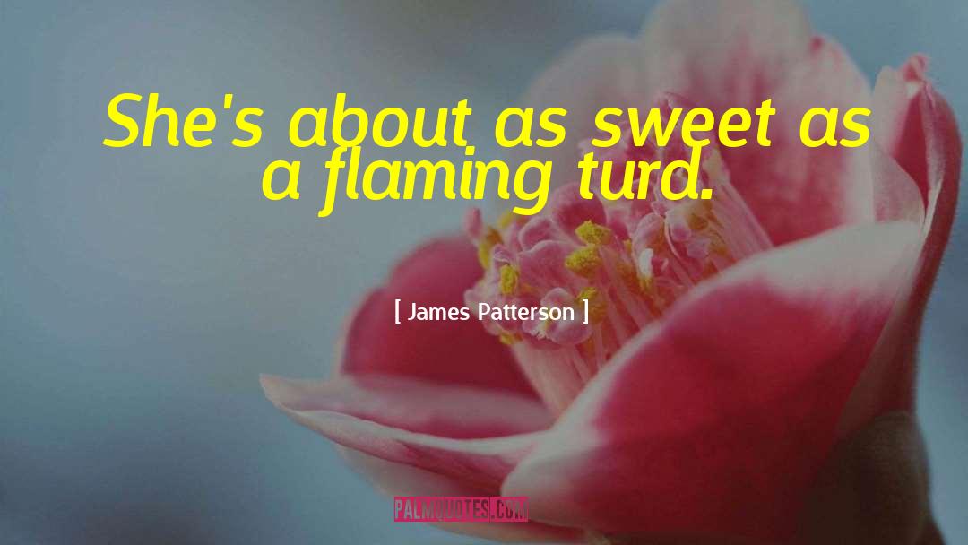 Turd quotes by James Patterson