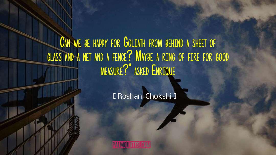 Turek Net quotes by Roshani Chokshi