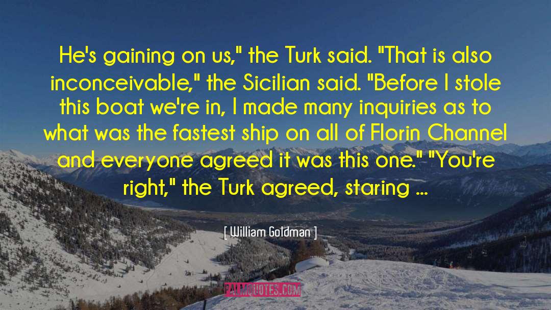Turk quotes by William Goldman