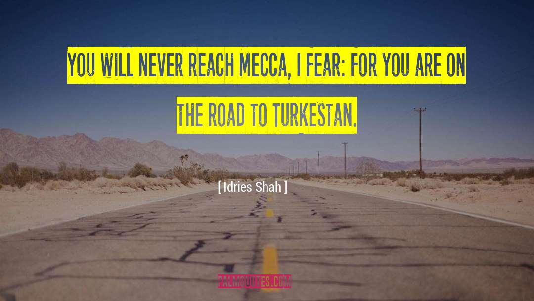 Turkestan quotes by Idries Shah