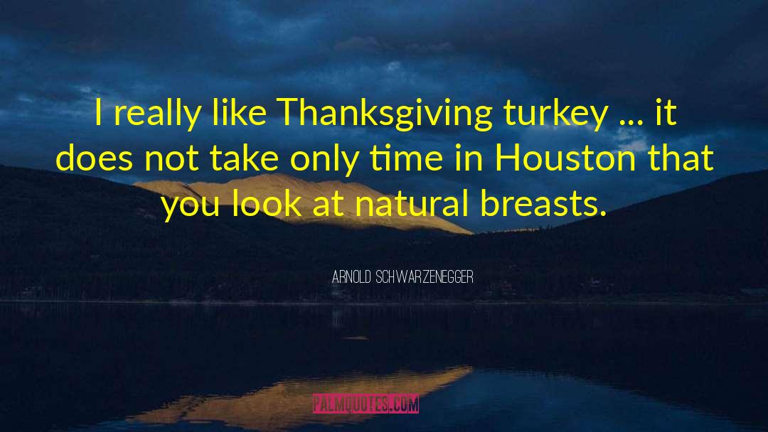 Turkey quotes by Arnold Schwarzenegger