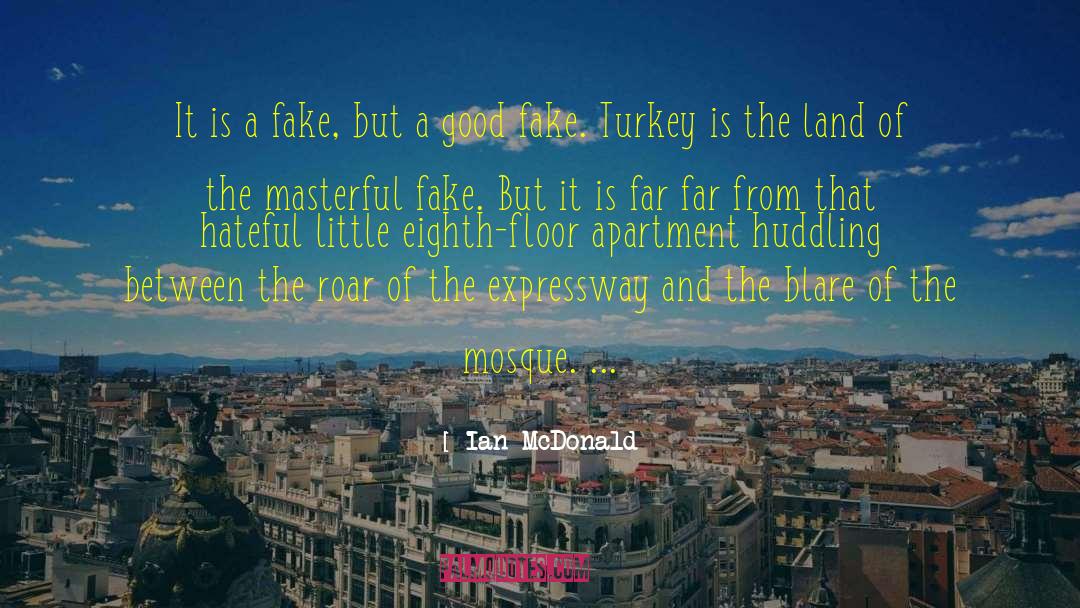 Turkey quotes by Ian McDonald