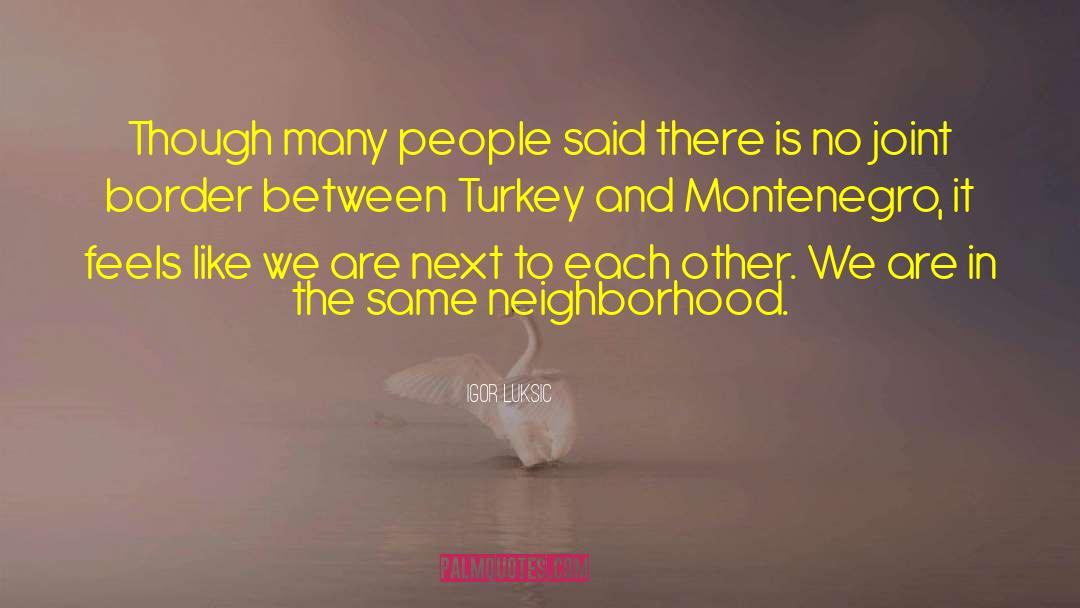 Turkey quotes by Igor Luksic