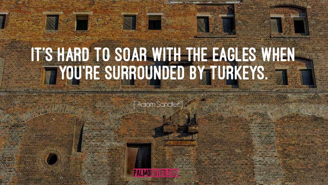 Turkeys quotes by Adam Sandler