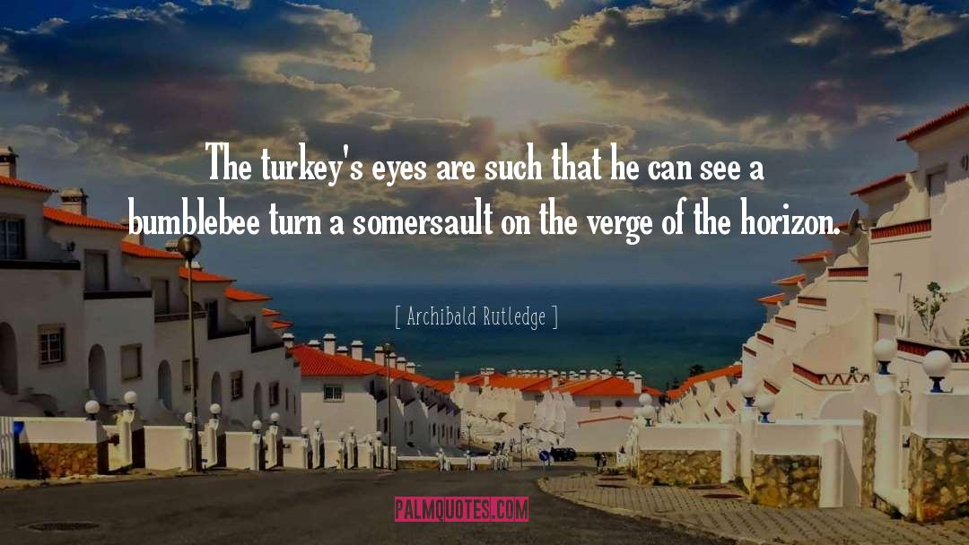 Turkeys quotes by Archibald Rutledge