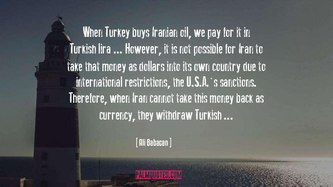 Turkeys quotes by Ali Babacan