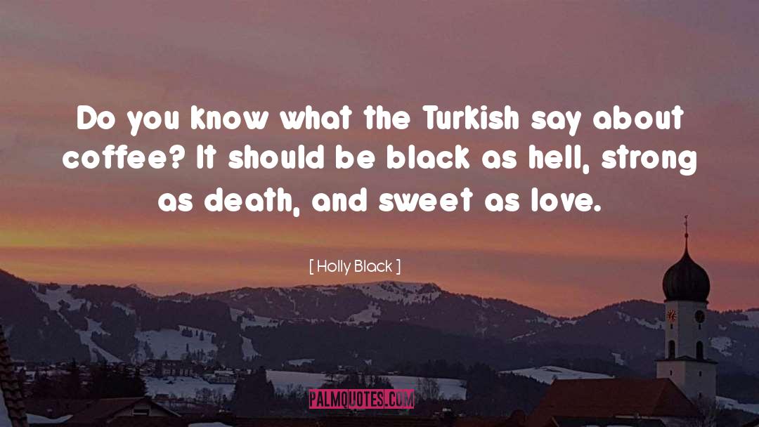 Turkish Novelists quotes by Holly Black