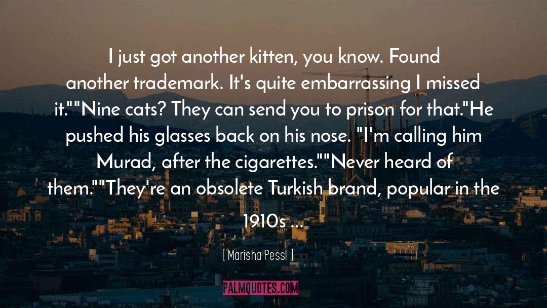 Turkish Thinkers quotes by Marisha Pessl