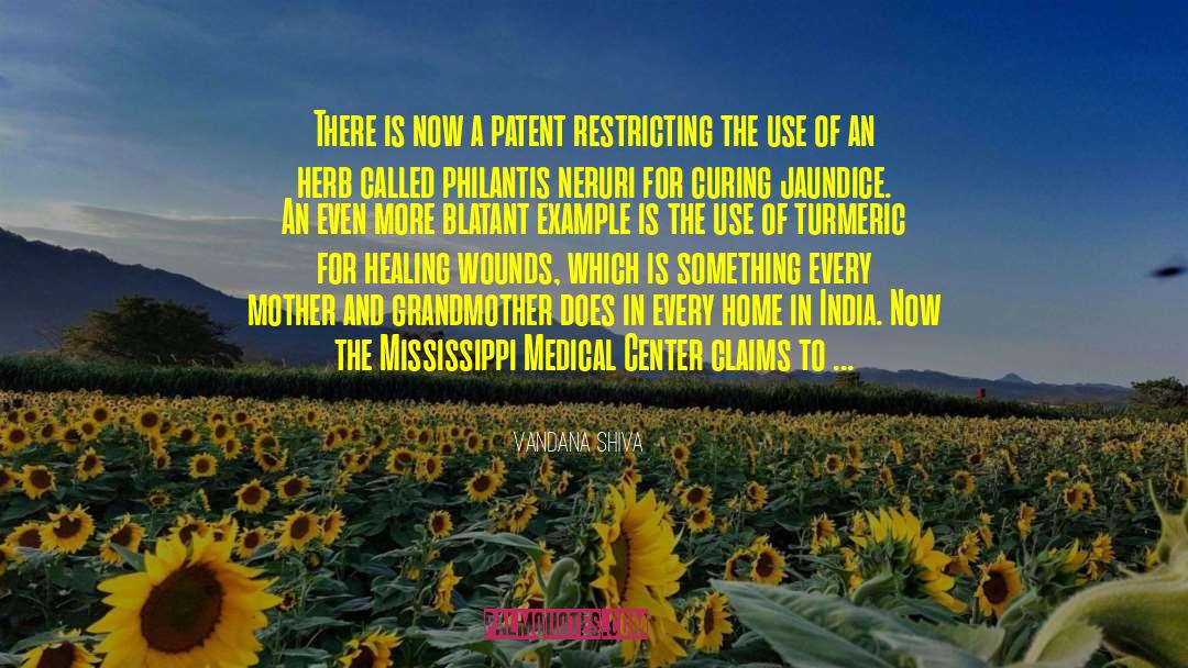 Turmeric quotes by Vandana Shiva