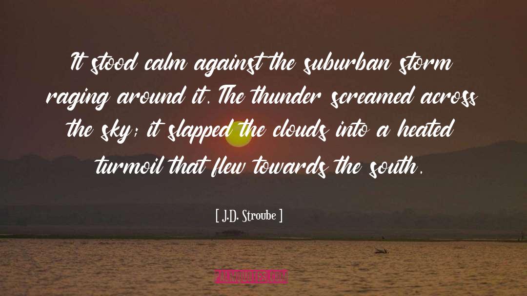 Turmoil quotes by J.D. Stroube