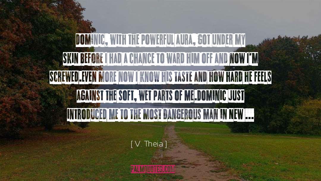 Turn Me quotes by V. Theia