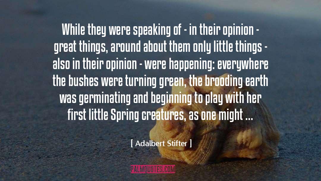 Turning 18th quotes by Adalbert Stifter