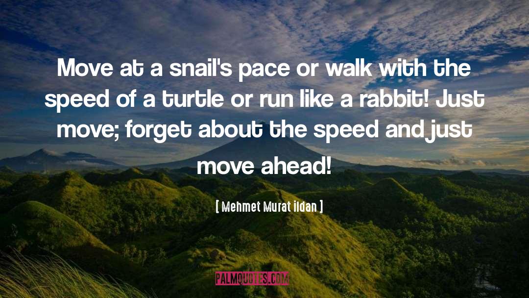 Turtle quotes by Mehmet Murat Ildan