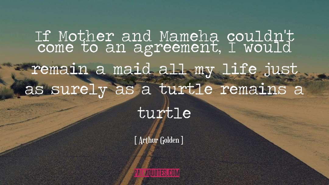 Turtle quotes by Arthur Golden