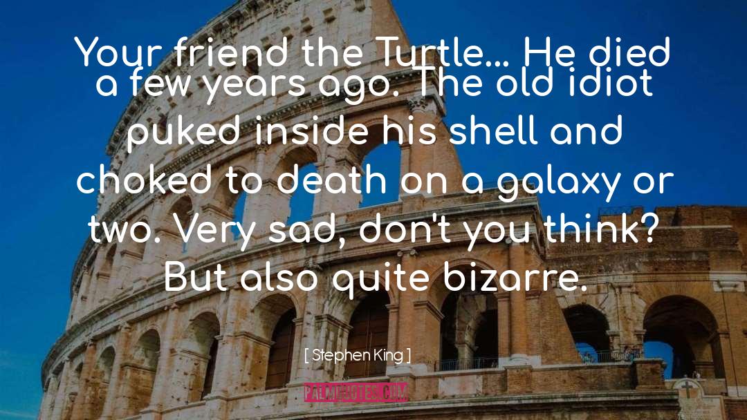 Turtle quotes by Stephen King